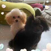 ヒメ日記 2025/05/06 11:00 投稿 清水 おふくろ