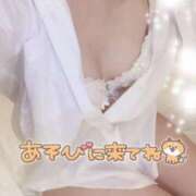 ヒメ日記 2025/08/06 11:44 投稿 ましろ ニュー姫