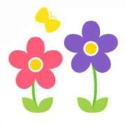 ヒメ日記 2025/05/21 10:19 投稿 青柳　そら YOKOHAMA FIVESTAR（横浜ファイブスター）