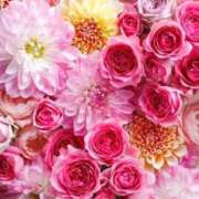 ヒメ日記 2025/05/29 10:06 投稿 青柳　そら YOKOHAMA FIVESTAR（横浜ファイブスター）