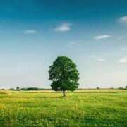 ヒメ日記 2025/08/02 19:57 投稿 かなえ しろうとCollection