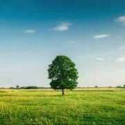 ヒメ日記 2025/08/24 22:17 投稿 かなえ しろうとCollection