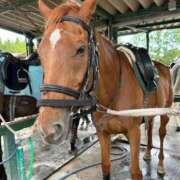 ヒメ日記 2025/11/02 19:47 投稿 かなえ しろうとCollection