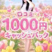 ヒメ日記 2026/04/24 15:50 投稿 しずく 大牟田デリヘル倶楽部