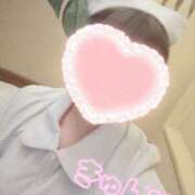 ヒメ日記 2025/05/05 19:22 投稿 こなつ 白いぽっちゃりさん