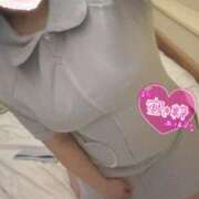 ヒメ日記 2025/05/05 20:42 投稿 こなつ 白いぽっちゃりさん