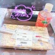 ヒメ日記 2025/05/06 14:22 投稿 こなつ 白いぽっちゃりさん