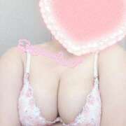 ヒメ日記 2025/05/06 17:22 投稿 こなつ 白いぽっちゃりさん