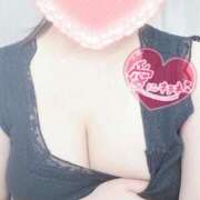 ヒメ日記 2025/05/06 23:12 投稿 こなつ 白いぽっちゃりさん