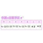ヒメ日記 2025/05/07 17:08 投稿 こなつ 白いぽっちゃりさん