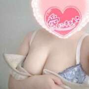 ヒメ日記 2025/05/10 10:35 投稿 こなつ 白いぽっちゃりさん