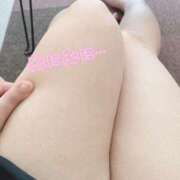 ヒメ日記 2025/05/10 18:22 投稿 こなつ 白いぽっちゃりさん