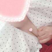 ヒメ日記 2025/05/10 20:33 投稿 こなつ 白いぽっちゃりさん