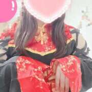 ヒメ日記 2025/05/12 12:42 投稿 こなつ 白いぽっちゃりさん