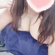 ヒメ日記 2025/05/14 03:32 投稿 こなつ 白いぽっちゃりさん