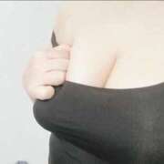 ヒメ日記 2025/05/24 17:03 投稿 こなつ 白いぽっちゃりさん