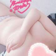 ヒメ日記 2025/05/29 14:37 投稿 こなつ 白いぽっちゃりさん