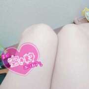 ヒメ日記 2025/06/06 18:06 投稿 こなつ 白いぽっちゃりさん