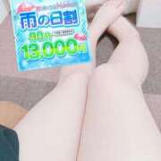 ヒメ日記 2025/06/10 13:15 投稿 こなつ 白いぽっちゃりさん