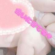 ヒメ日記 2025/06/27 14:22 投稿 こなつ 白いぽっちゃりさん