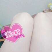 ヒメ日記 2025/07/16 13:52 投稿 こなつ 白いぽっちゃりさん