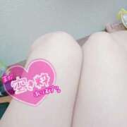 ヒメ日記 2025/07/21 19:33 投稿 こなつ 白いぽっちゃりさん