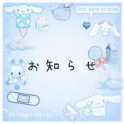 ヒメ日記 2025/07/24 08:05 投稿 こなつ 白いぽっちゃりさん