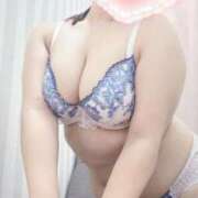 ヒメ日記 2025/07/29 08:12 投稿 こなつ 白いぽっちゃりさん