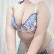 ヒメ日記 2025/08/17 22:32 投稿 こなつ 白いぽっちゃりさん