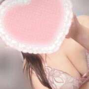 ヒメ日記 2025/08/18 12:22 投稿 こなつ 白いぽっちゃりさん