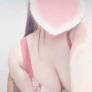 ヒメ日記 2025/08/19 18:33 投稿 こなつ 白いぽっちゃりさん