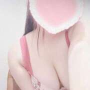 ヒメ日記 2025/09/26 11:02 投稿 こなつ 白いぽっちゃりさん