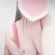 ヒメ日記 2025/10/05 11:02 投稿 こなつ 白いぽっちゃりさん