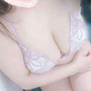 ヒメ日記 2025/10/08 14:22 投稿 こなつ 白いぽっちゃりさん