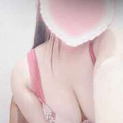 ヒメ日記 2025/10/10 16:52 投稿 こなつ 白いぽっちゃりさん