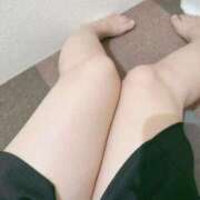 ヒメ日記 2025/10/11 22:22 投稿 こなつ 白いぽっちゃりさん