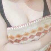 ヒメ日記 2025/10/12 22:32 投稿 こなつ 白いぽっちゃりさん