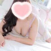 ヒメ日記 2025/10/13 11:22 投稿 こなつ 白いぽっちゃりさん