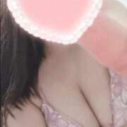 ヒメ日記 2025/10/14 16:02 投稿 こなつ 白いぽっちゃりさん