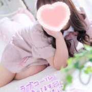 ヒメ日記 2025/11/02 07:42 投稿 こなつ 白いぽっちゃりさん