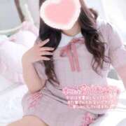 ヒメ日記 2025/11/03 07:12 投稿 こなつ 白いぽっちゃりさん