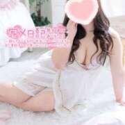 ヒメ日記 2025/11/03 11:12 投稿 こなつ 白いぽっちゃりさん