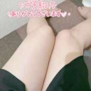 ヒメ日記 2025/11/07 13:22 投稿 こなつ 白いぽっちゃりさん