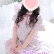 ヒメ日記 2025/11/09 07:02 投稿 こなつ 白いぽっちゃりさん