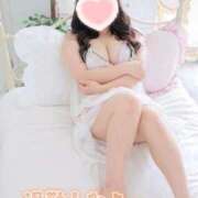 ヒメ日記 2025/11/12 22:22 投稿 こなつ 白いぽっちゃりさん