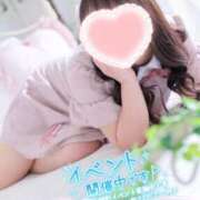 ヒメ日記 2025/11/14 07:32 投稿 こなつ 白いぽっちゃりさん