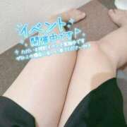 ヒメ日記 2025/11/14 17:42 投稿 こなつ 白いぽっちゃりさん