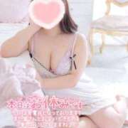 ヒメ日記 2025/11/15 08:42 投稿 こなつ 白いぽっちゃりさん