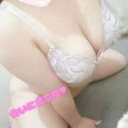 ヒメ日記 2025/11/16 17:32 投稿 こなつ 白いぽっちゃりさん