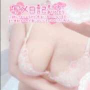 ヒメ日記 2025/11/16 19:02 投稿 こなつ 白いぽっちゃりさん